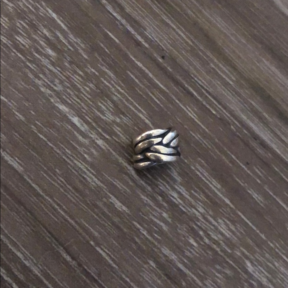 Pandora charm